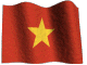 Co VN